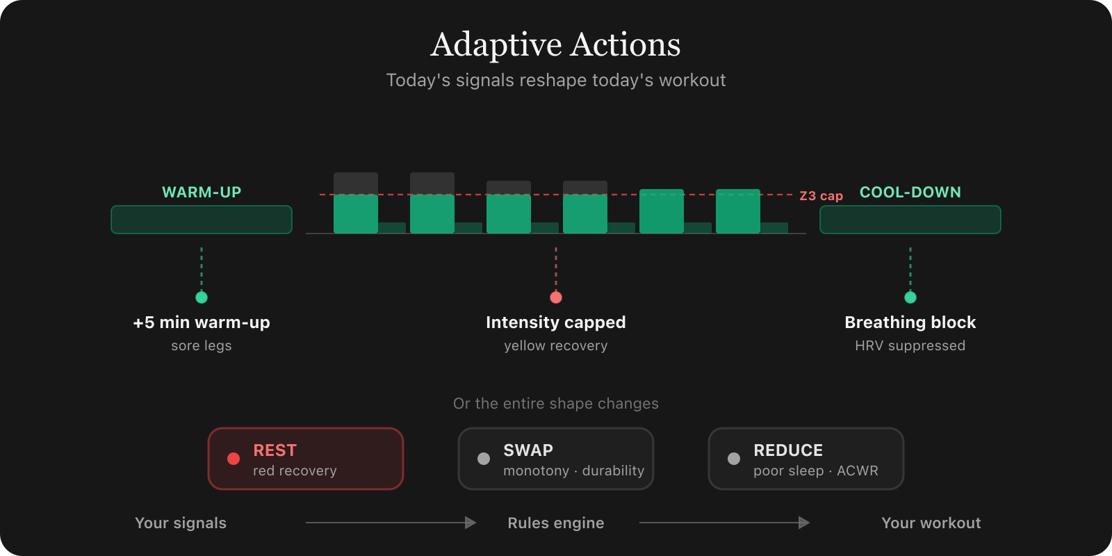 How signals reshape today's workout