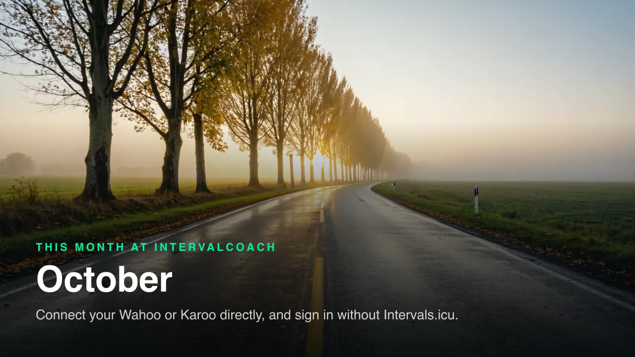 October at IntervalCoach: connect your devices directly. A quiet country road lined with poplars in autumn leaves, low sun breaking through morning mist