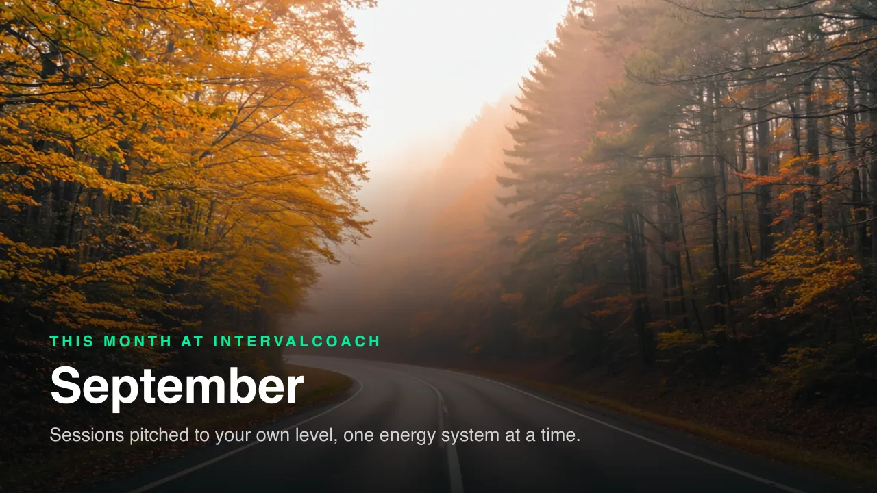 September at IntervalCoach: sessions pitched to your own level. An empty road curving through an autumn forest in morning mist